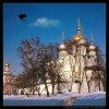 Novodevichiy monastery
* * * (3551)